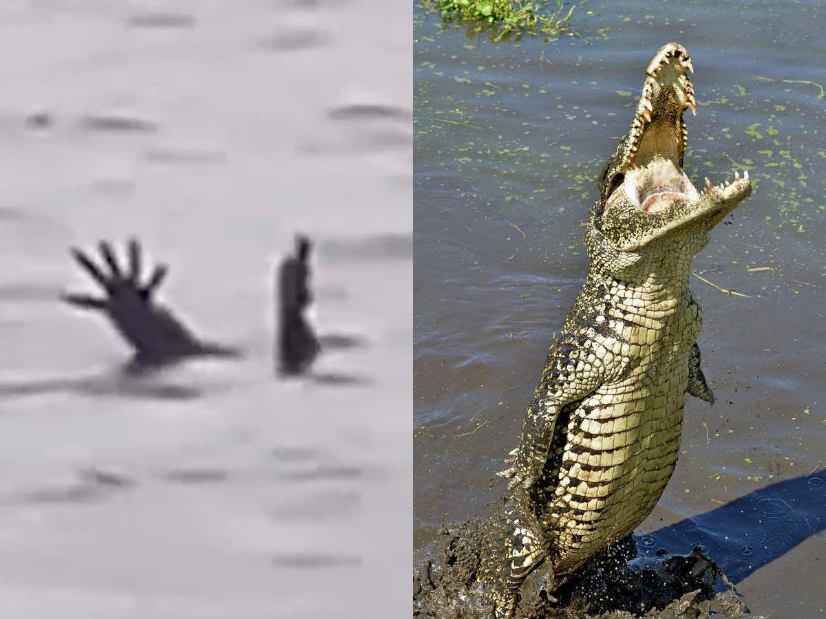 Crocodiles in Indonesia Have Allegedly Learned to Pretend to Be Drowning Humans In Order to Lure People Into The Water So They Can Eat Them