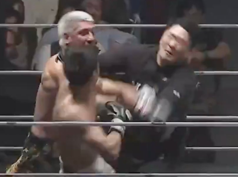 Ref Eats MULTIPLE Punches After Boxers Start Throwing Spinning Backfists In A Full-Blown Melee